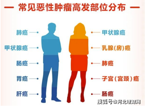 河北理财网：阳光保险发布2023年度理赔报告 用理赔关怀践行“爱与责任”