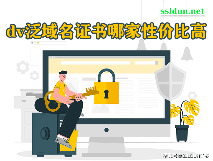 dv泛域名证书哪家性价比高