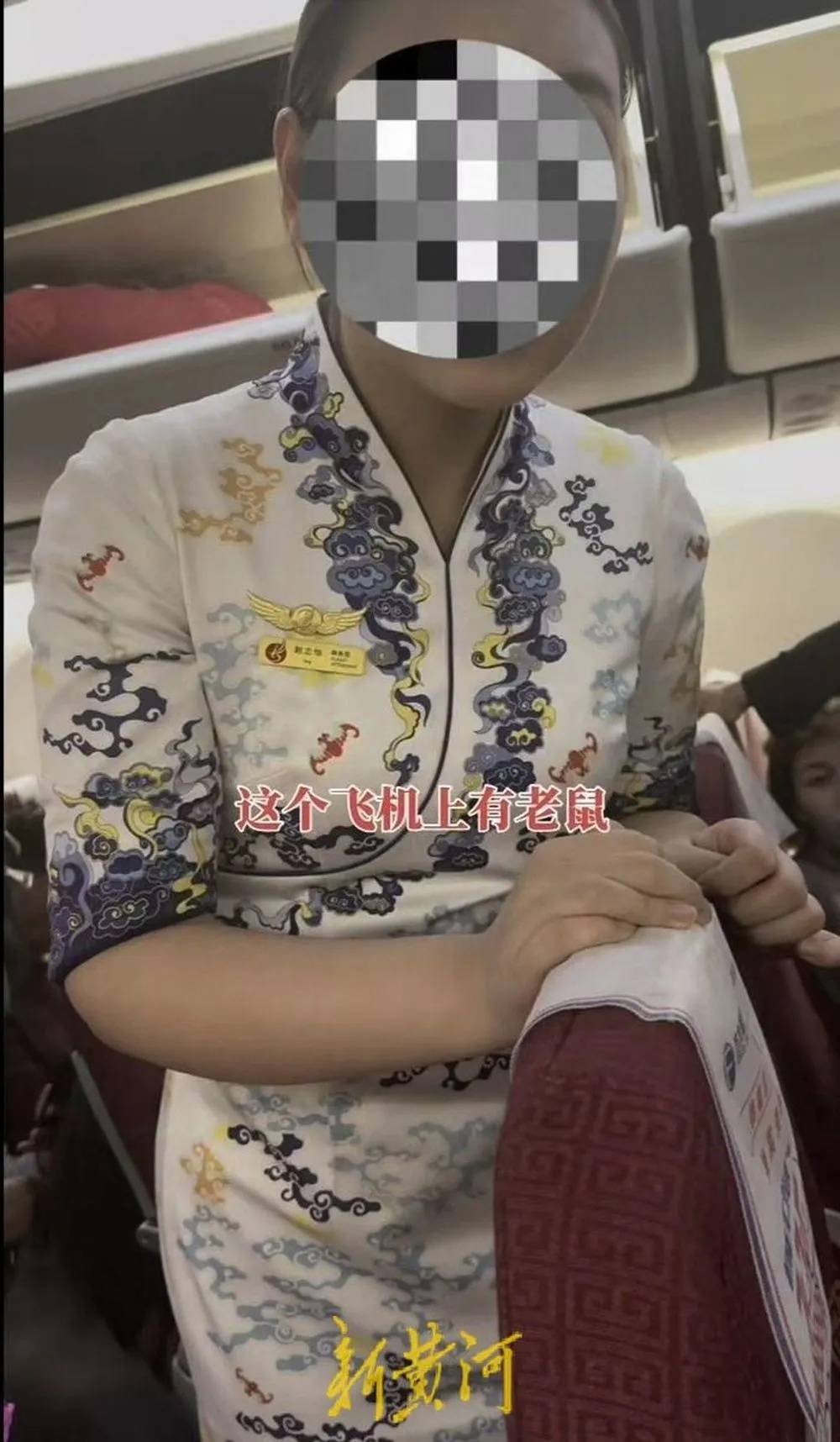 飞机上出现老鼠？海航长安航空最新回应