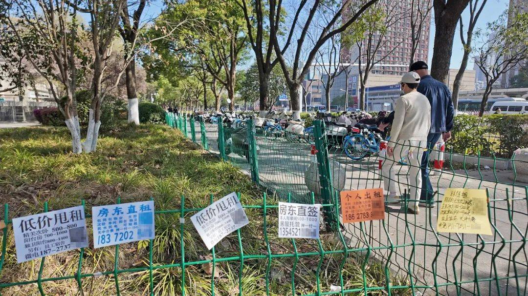一二线城市房租普降，房东主动降200留我